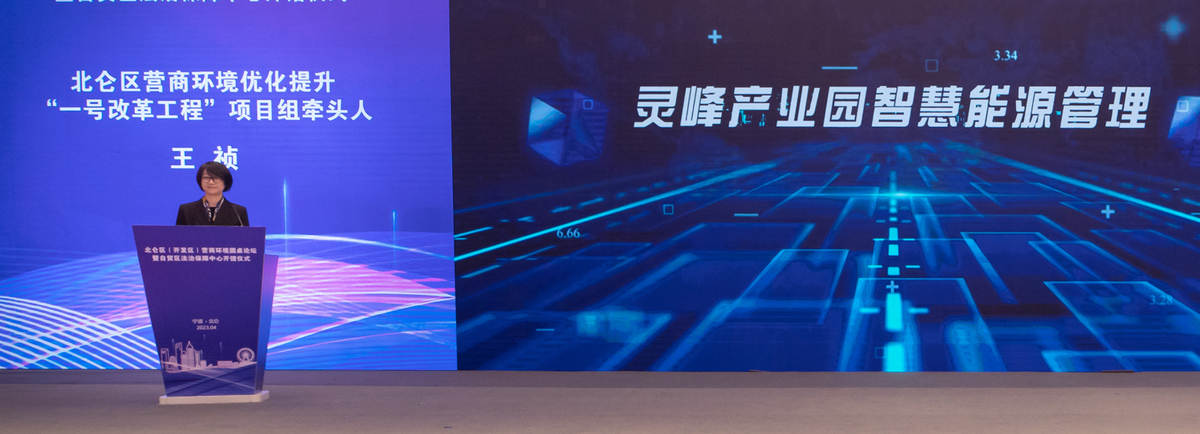 北仑区营商环境优化提升“一号改革工程”项目组牵头人王祯副局长上台发布“北仑区(开发区)营商环境改革成果及拟推进实施重大标志性改革项目”.jpg